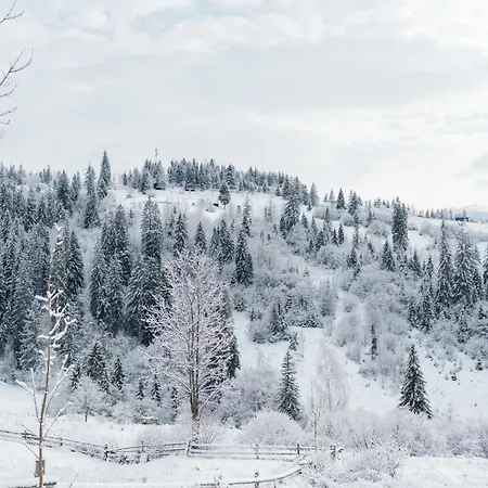 펜션 казковий дім та Garden два будиночки в горах з чаном-джакузі