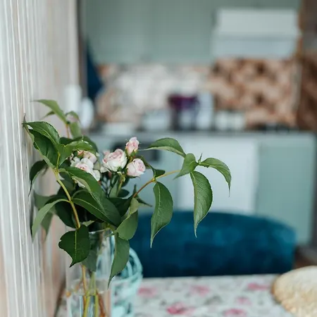 Holiday home казковий дім та Garden два будиночки в горах з чаном-джакузі Slavske