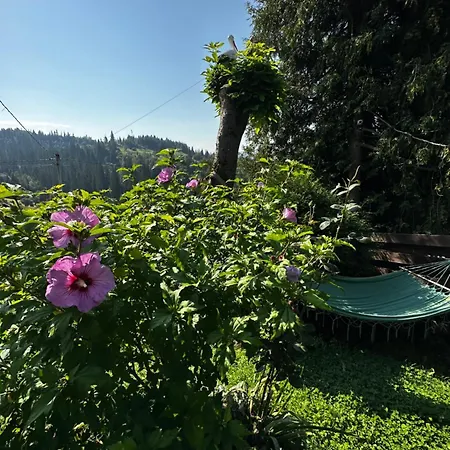 казковий дім та Garden два будиночки в горах з чаном-джакузі Holiday home Slavske