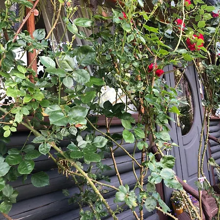 казковий дім та Garden два будиночки в горах з чаном-джакузі