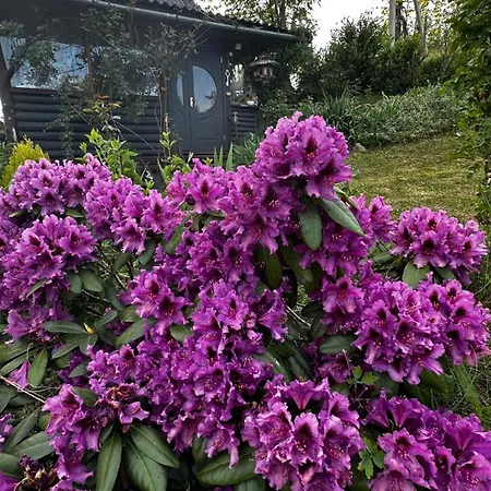 펜션 казковий дім та Garden два будиночки в горах з чаном-джакузі 슬랍스크