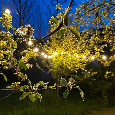 казковий дім та Garden два будиночки в горах з чаном-джакузі * 슬랍스크