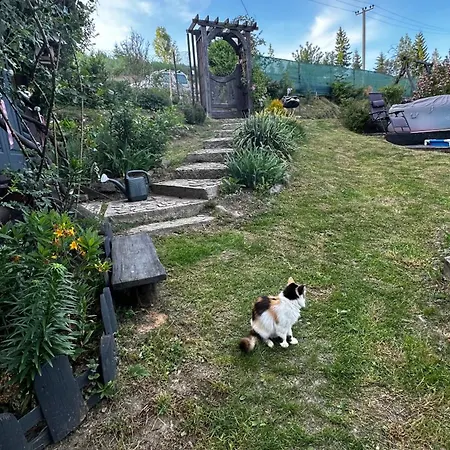 казковий дім та Garden два будиночки в горах з чаном-джакузі 펜션