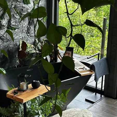Holiday home казковий дім та Garden два будиночки в горах з чаном-джакузі Slavske
