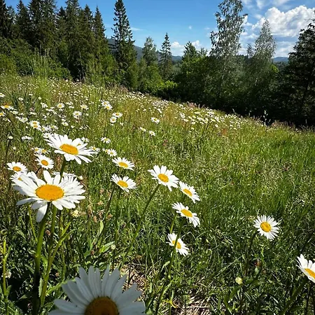 казковий дім та Garden два будиночки в горах з чаном-джакузі 슬랍스크