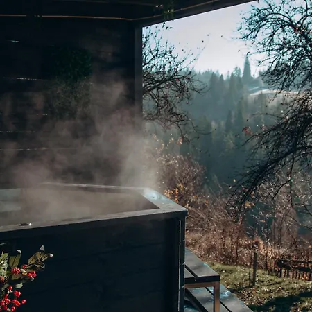 펜션 казковий дім та Garden два будиночки в горах з чаном-джакузі 슬랍스크
