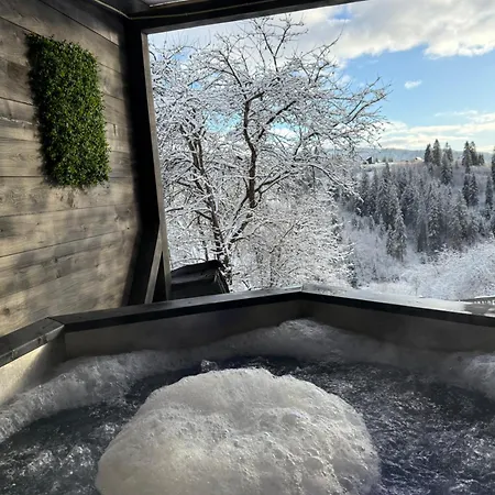 Tatil Evi Казковий Дім З Чаном-Джакузі,Басейн Slavske
